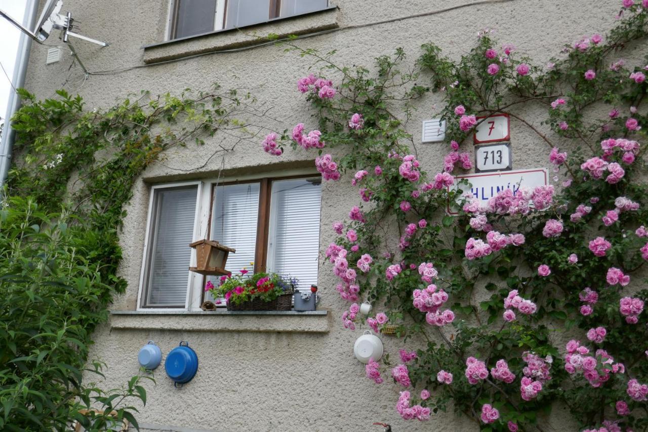 Apartment At Sedliacky Dvor - Brezno Bagian luar foto